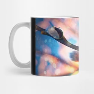 pussy-willow tree Mug